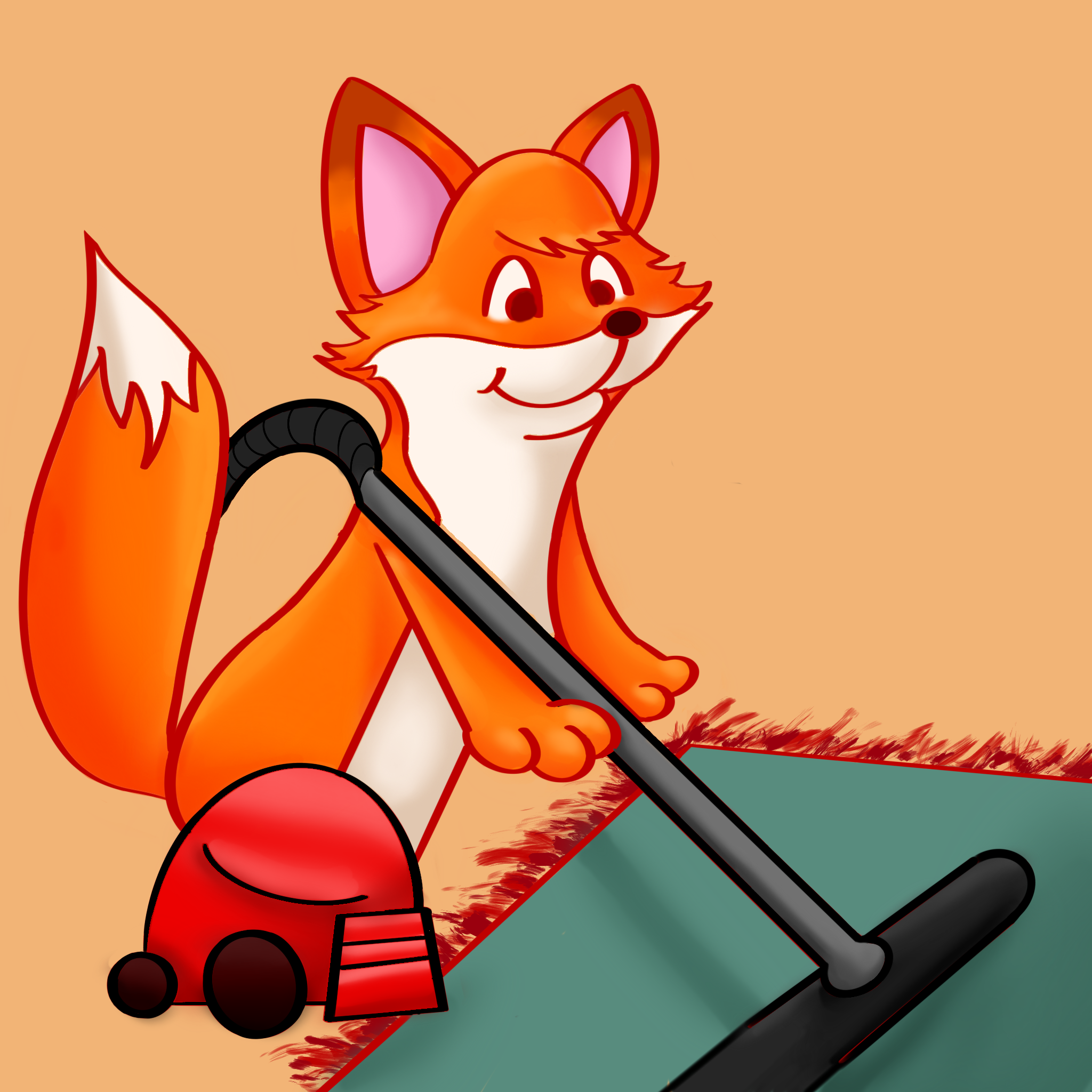 CARPET CLEANING TIPS Cleanfox